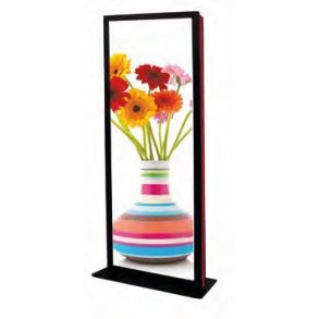 LED illuminated column display