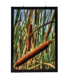 LED Magnetic Frame, dobbeltsidet